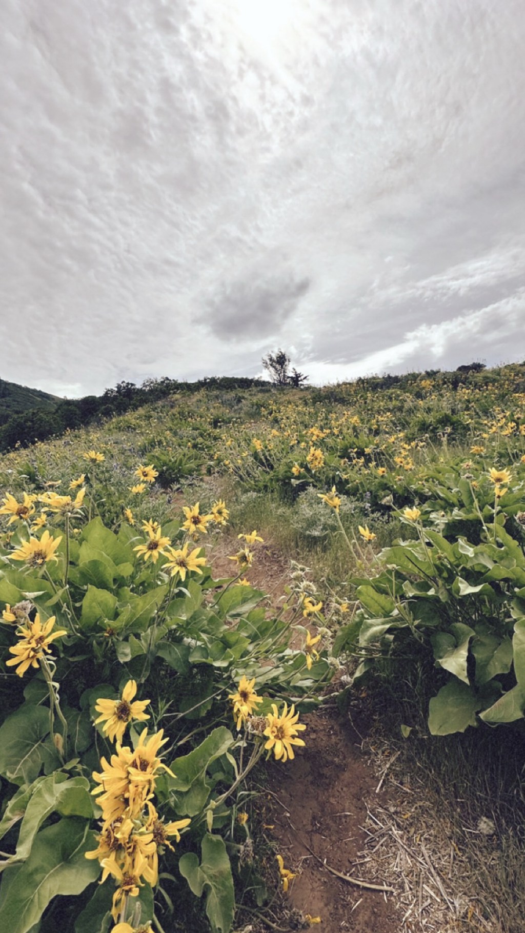 Understanding the Charm of Storytelling in Dating